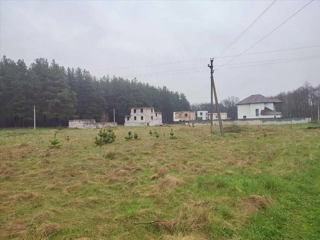 Ділянка з видом на сосновий ліс, Вакуленці