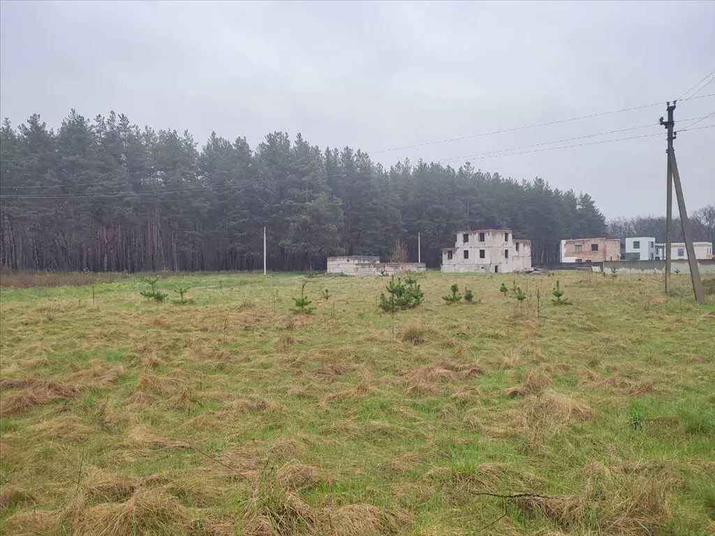 Ділянка з видом на сосновий ліс, Вакуленці