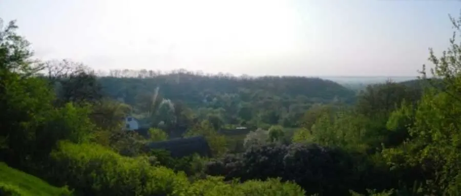 Земельна ділянка в Петрівці