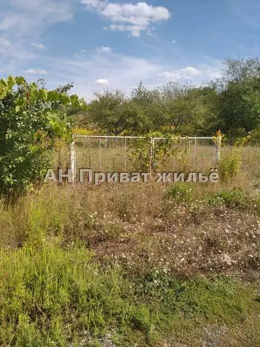 Продається земельна ділянка в Рибцях