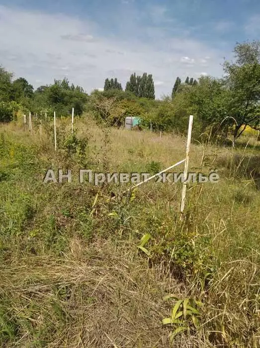 Продається земельна ділянка в Рибцях