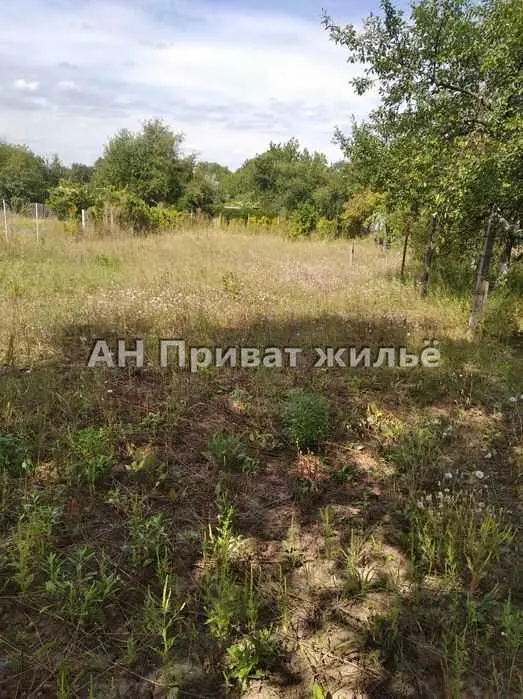 Продається земельна ділянка в Рибцях