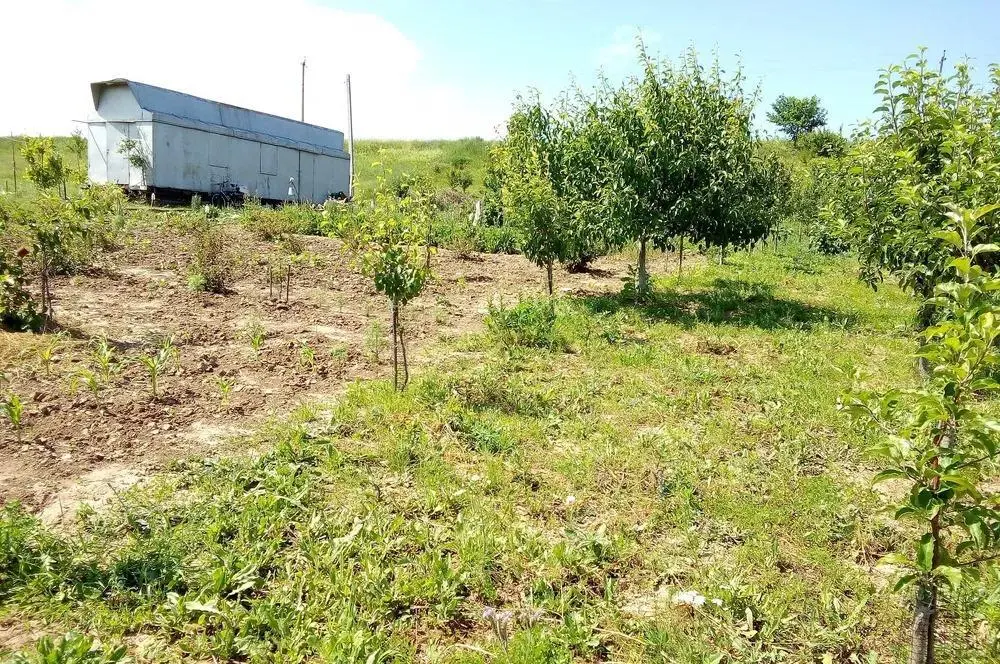 Продам отличный земельный участок в Щербанях