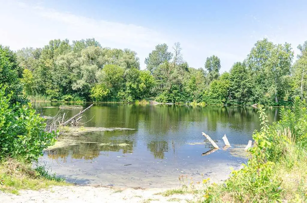 Продається ділянка землі у Тернівщині. Площа 50 соток.