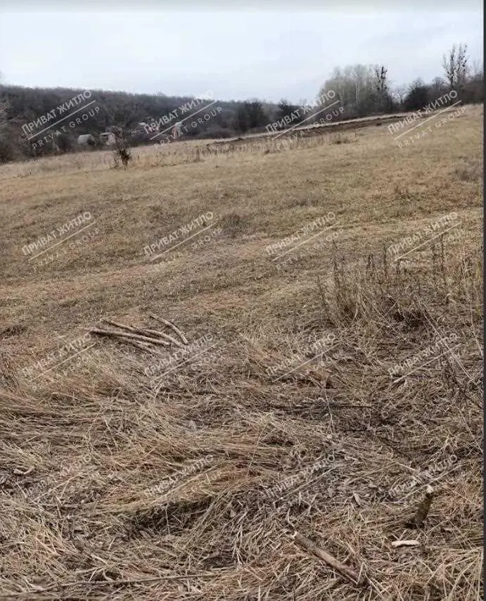 Дачный участок в Нижних Млынах.