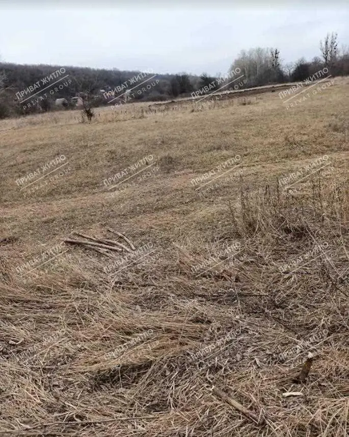 Дачный участок в Нижних Млынах.