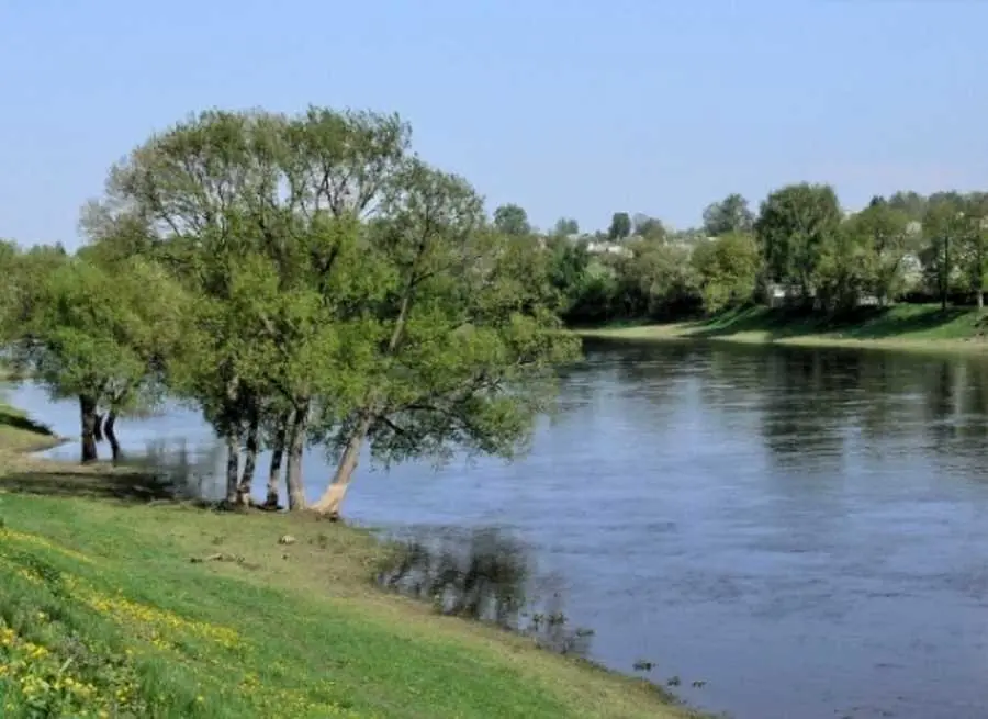 Дачный участок в Нижних Млынах.