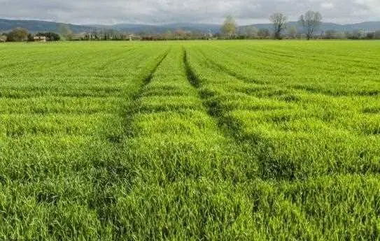 Ділянка в с Ковалівка!