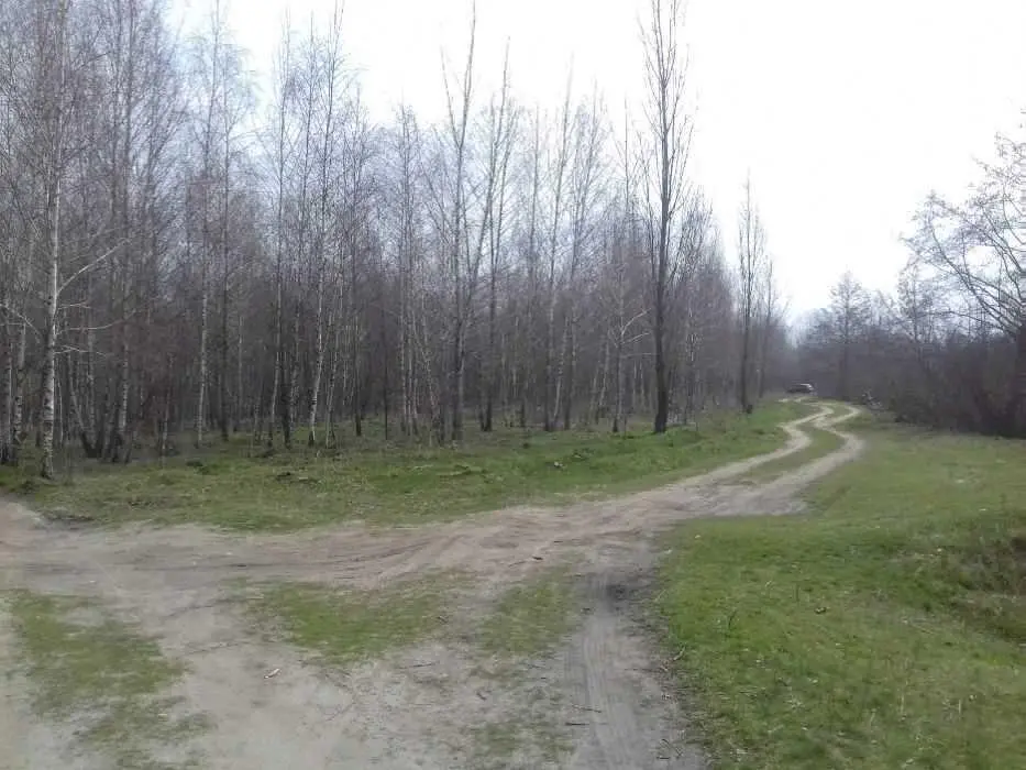 Земельна ділянка в Терешках