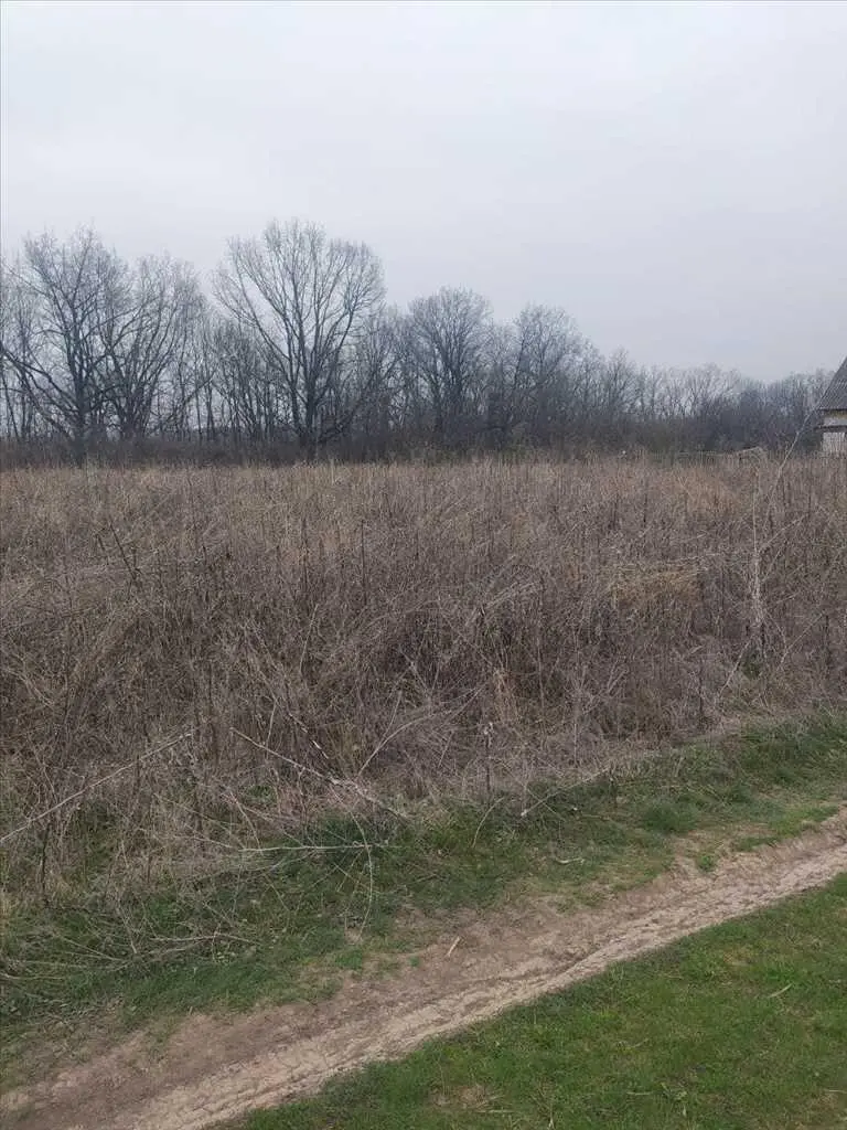 Чудова ділянка в Мачухах.