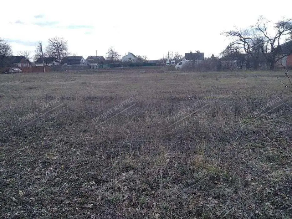 Продаж земельної ділянку в Рибцях під забудову.