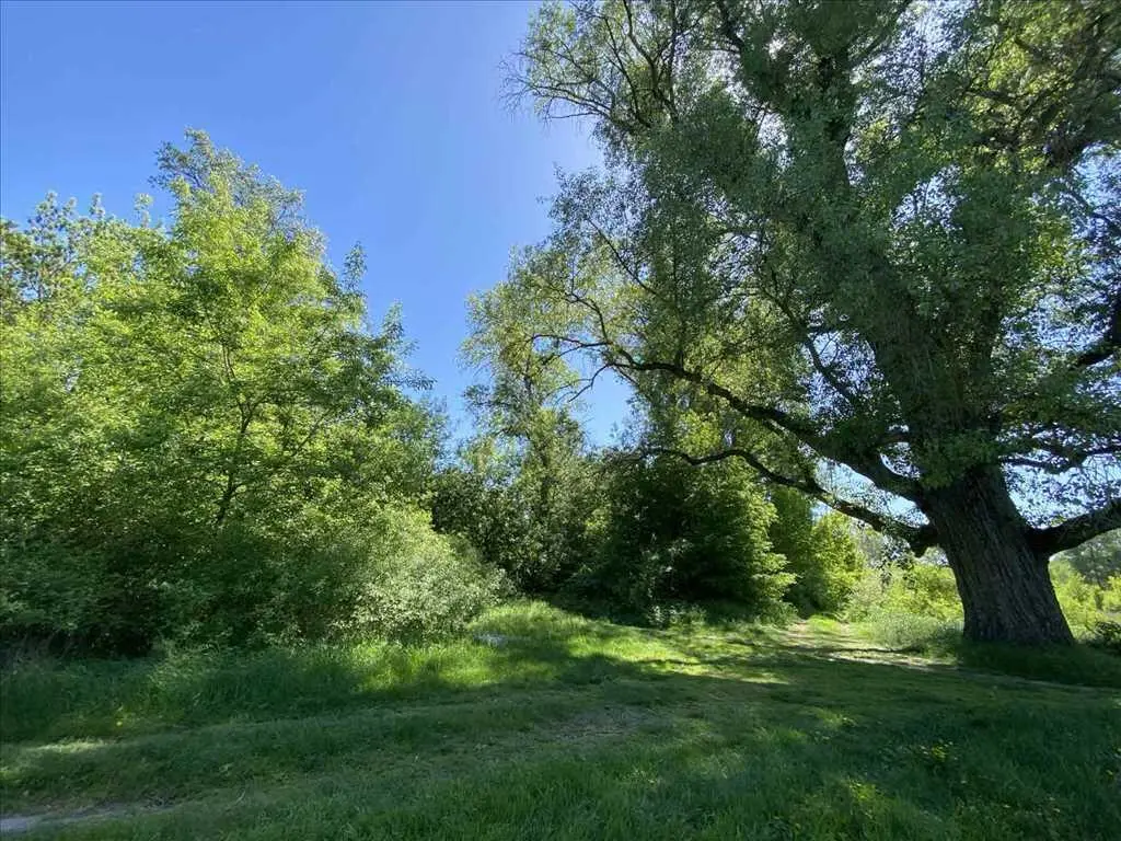Ділянка для вашого будинку на березі річки!