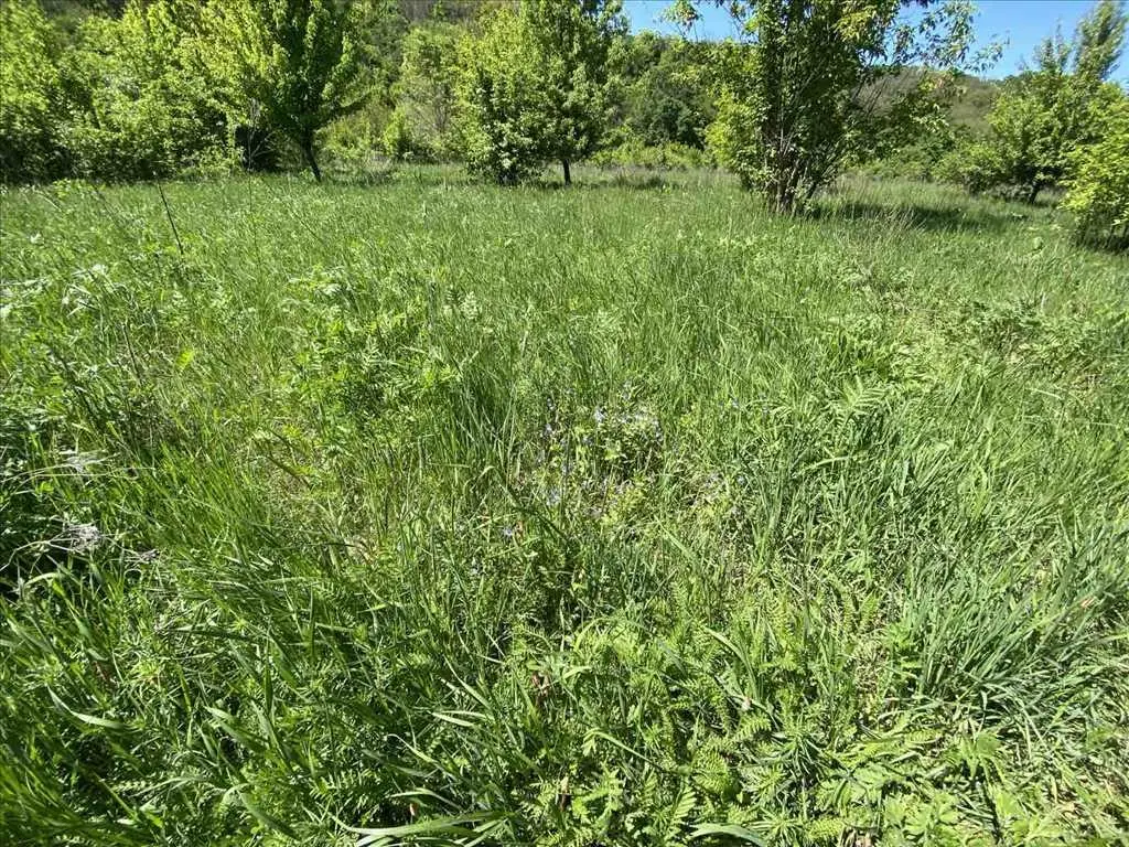 Ділянка для вашого будинку на березі річки!