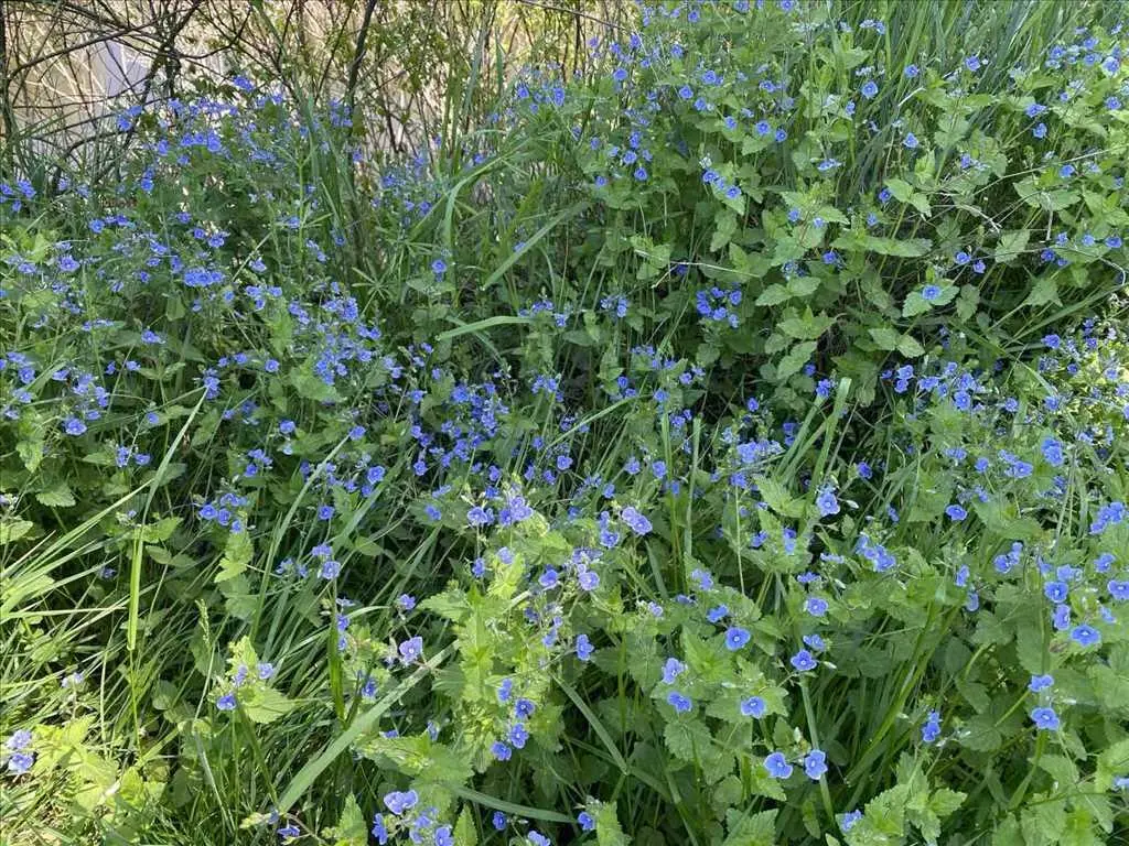 Ділянка для вашого будинку на березі річки!