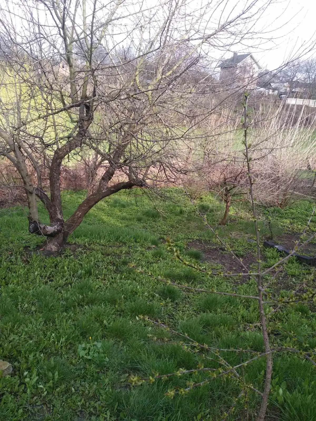 Дом на Половках!