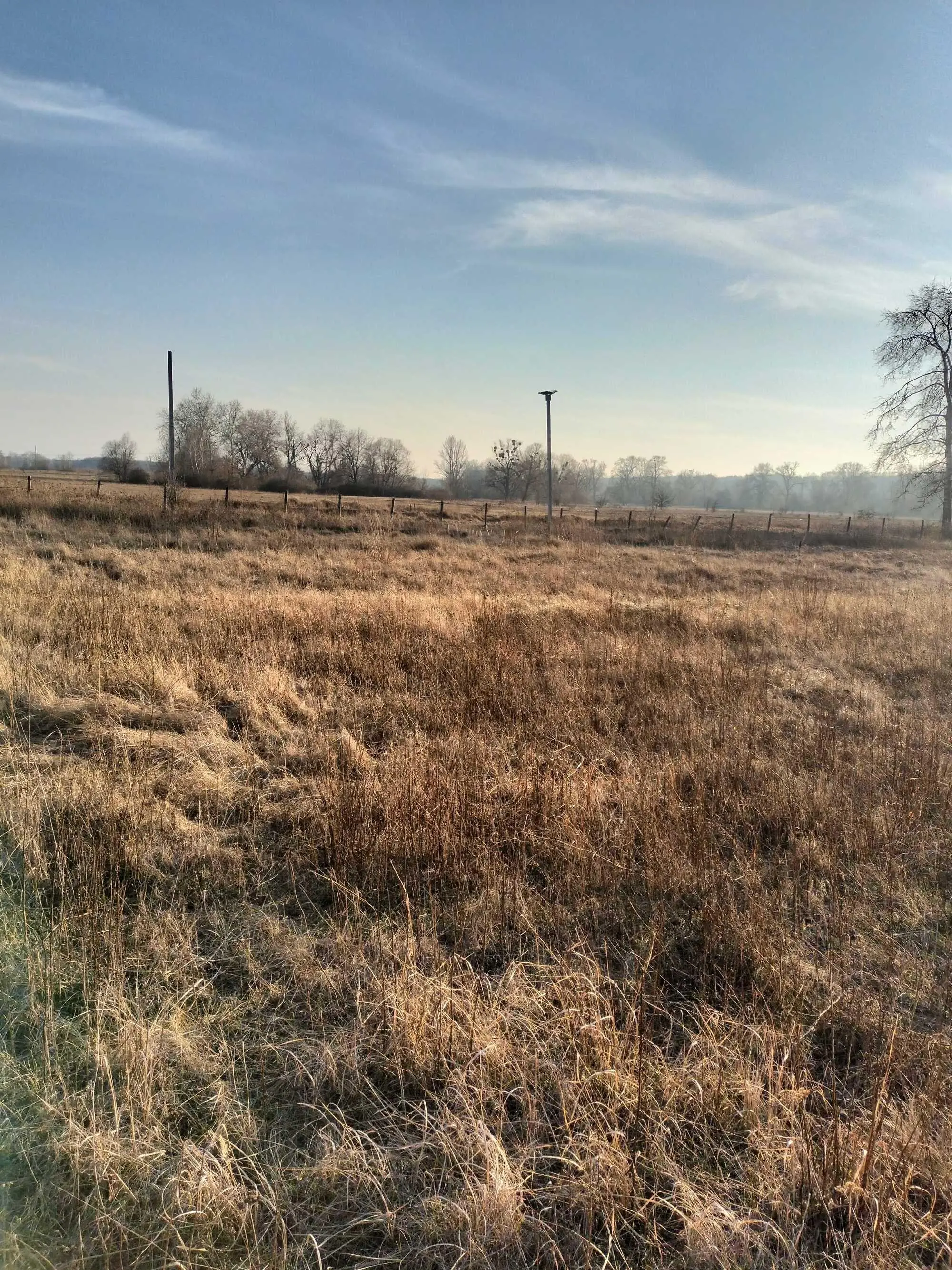 Дачна ділянка в Терешках