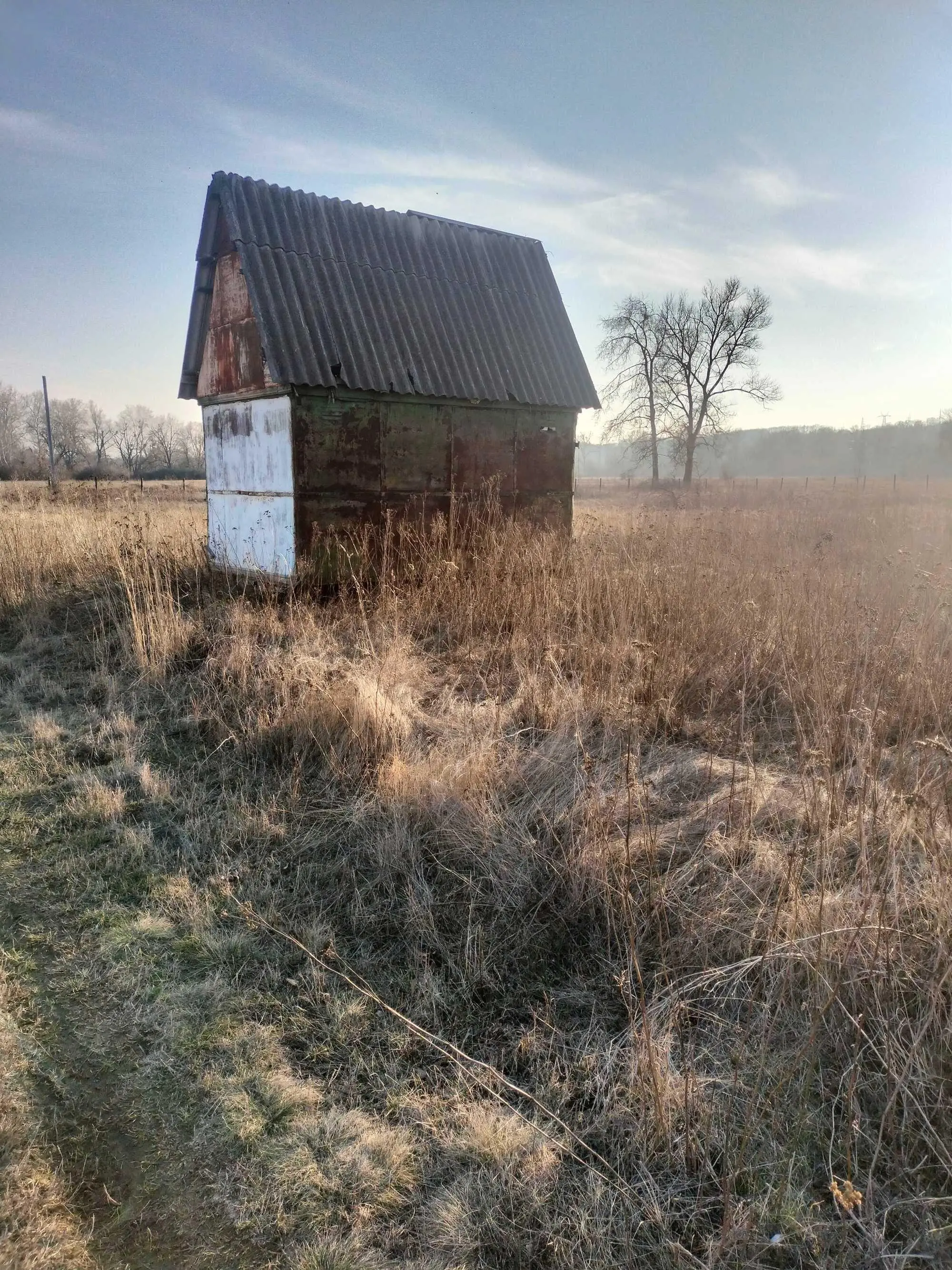 Дачна ділянка в Терешках