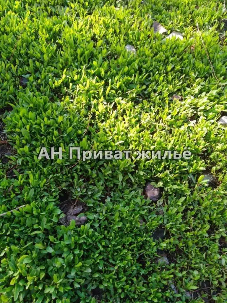 Большой участок под застройку, Супруновка!