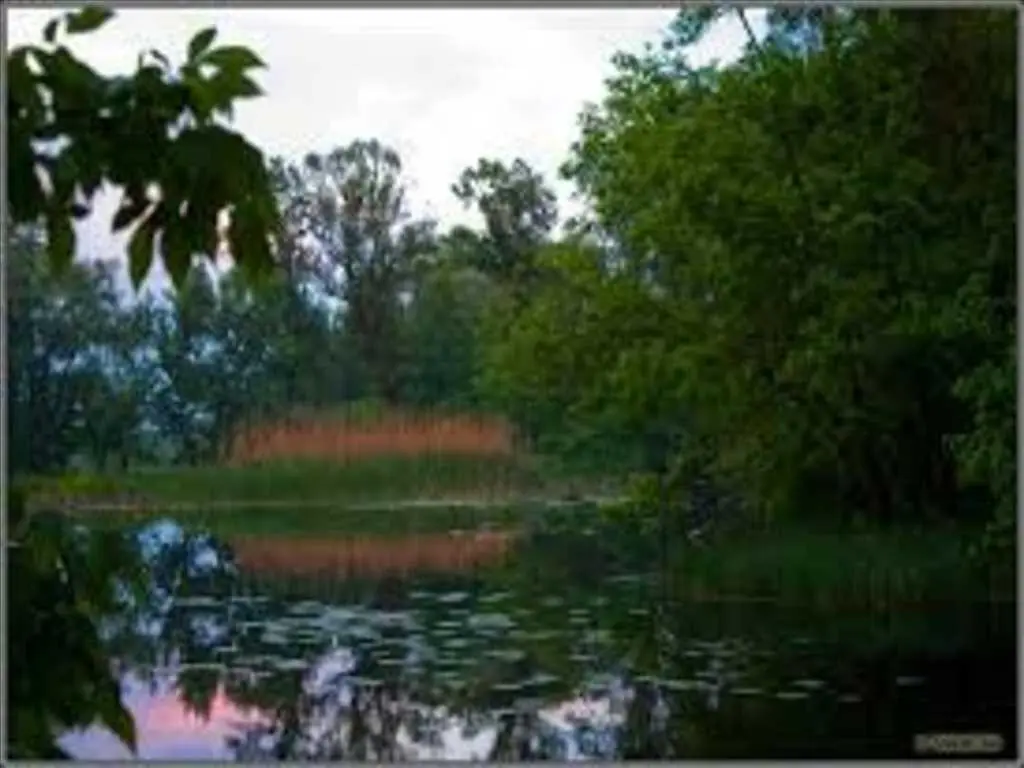 Продаж земельної ділянки в Нижніх Млинах