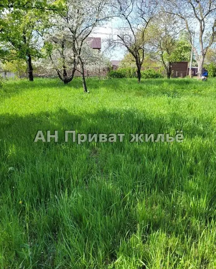 Великолепный земельный участок, Супруновка