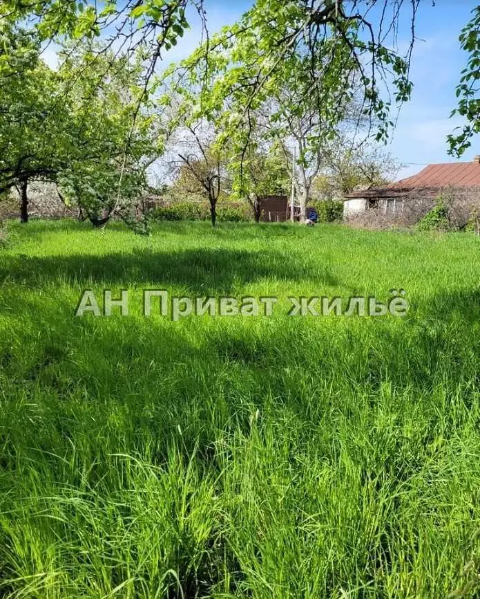 Великолепный земельный участок, Супруновка