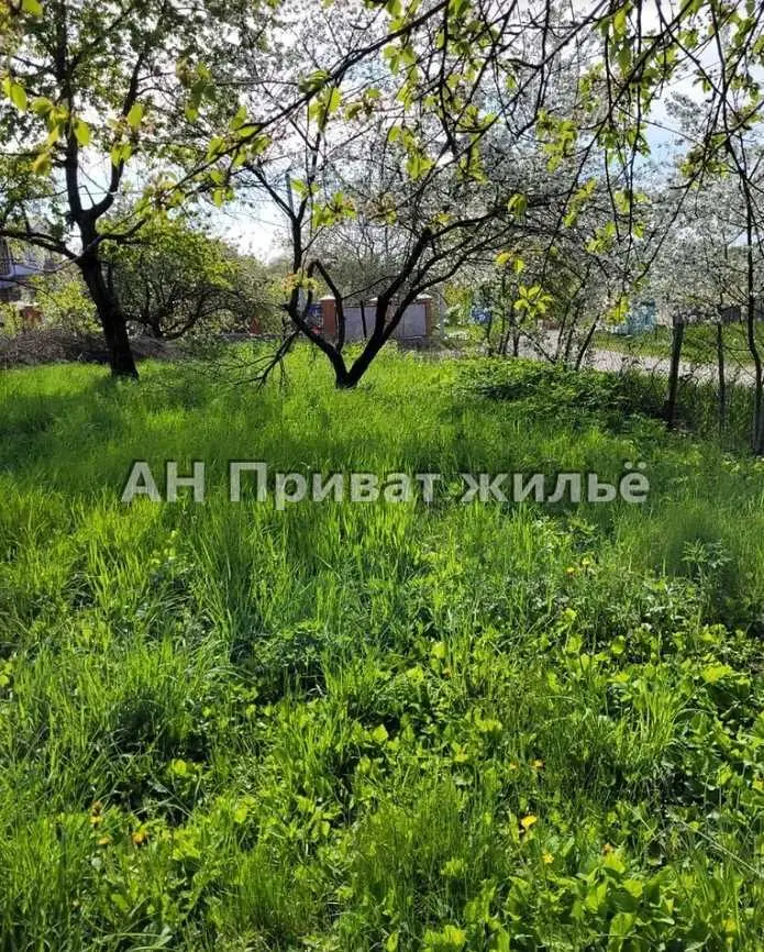 Великолепный земельный участок, Супруновка