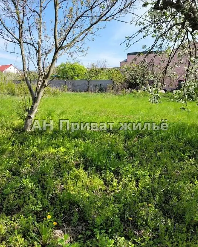 Великолепный земельный участок, Супруновка