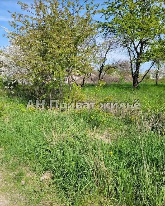 Великолепный земельный участок, Супруновка