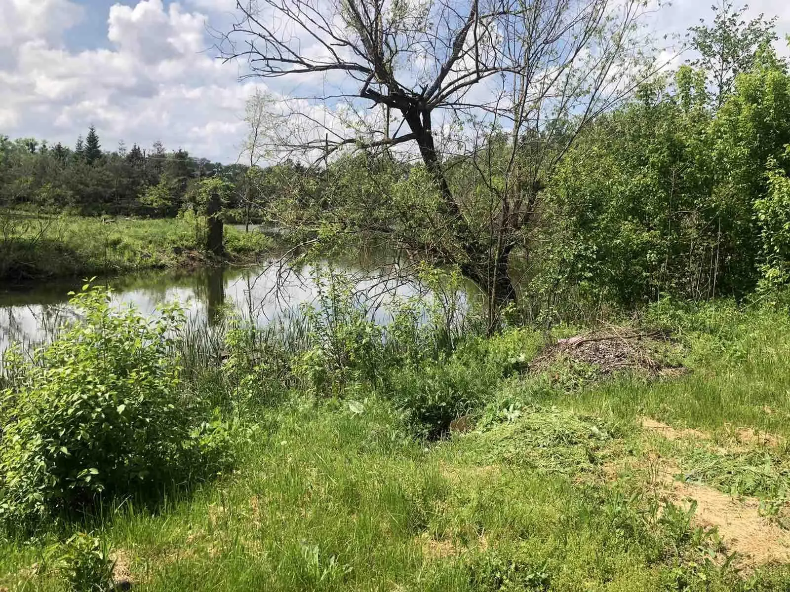 Будинок в Терешках з виходом до озера!