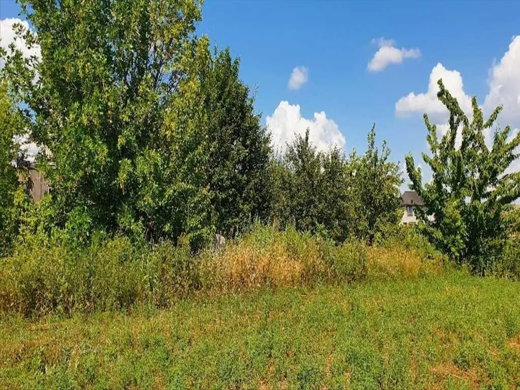 Настав час втілити свої мрії у реальність