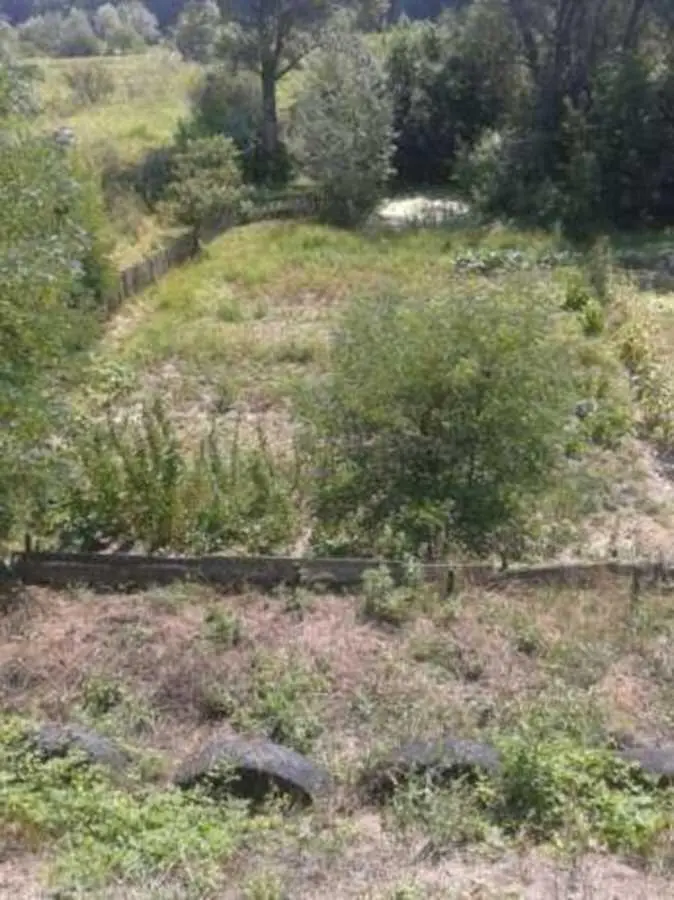 Настав час втілити свої мрії у реальність