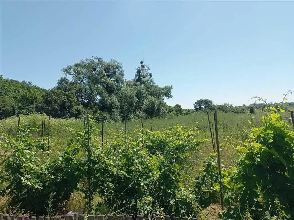 Нова пропозиція! Будинок у передмісті