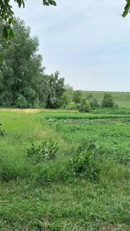 Продажа цегляного будинку в Зорівці.