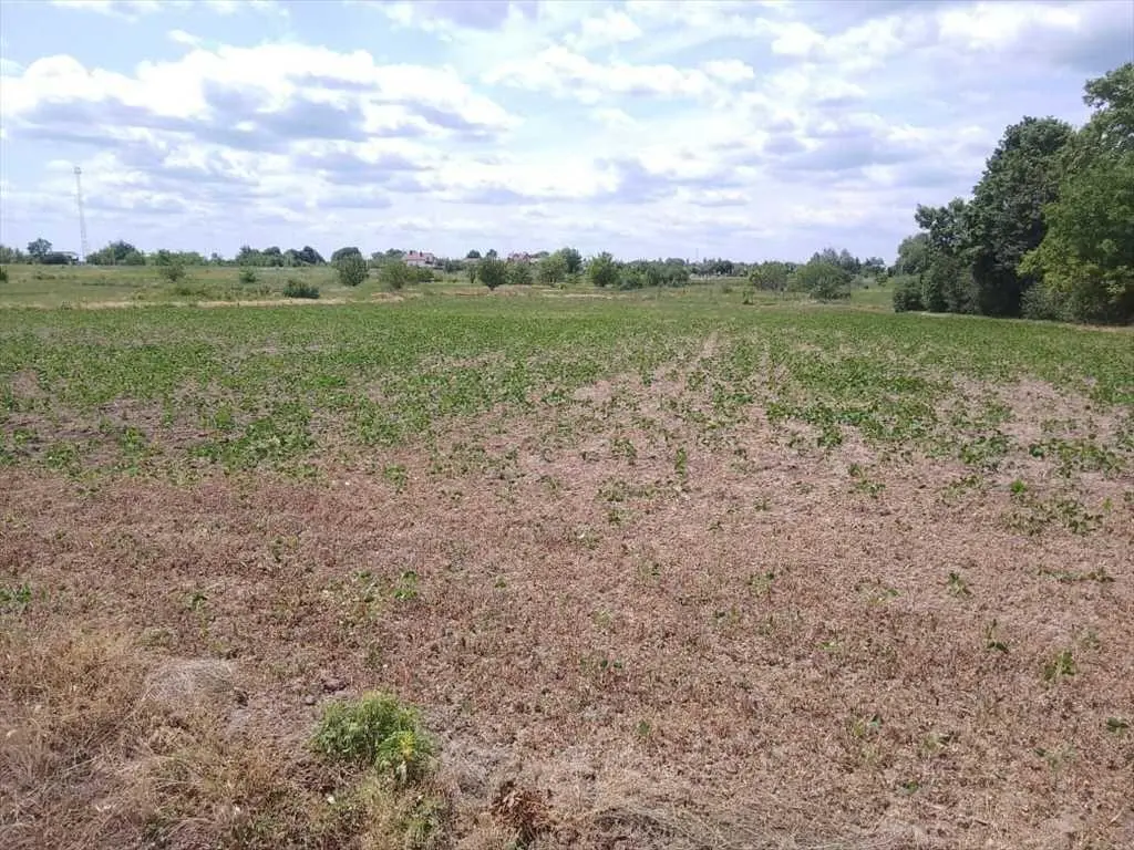 Відмінна ділянка під забудову будинку