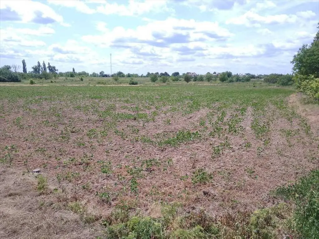 Відмінна ділянка під забудову будинку
