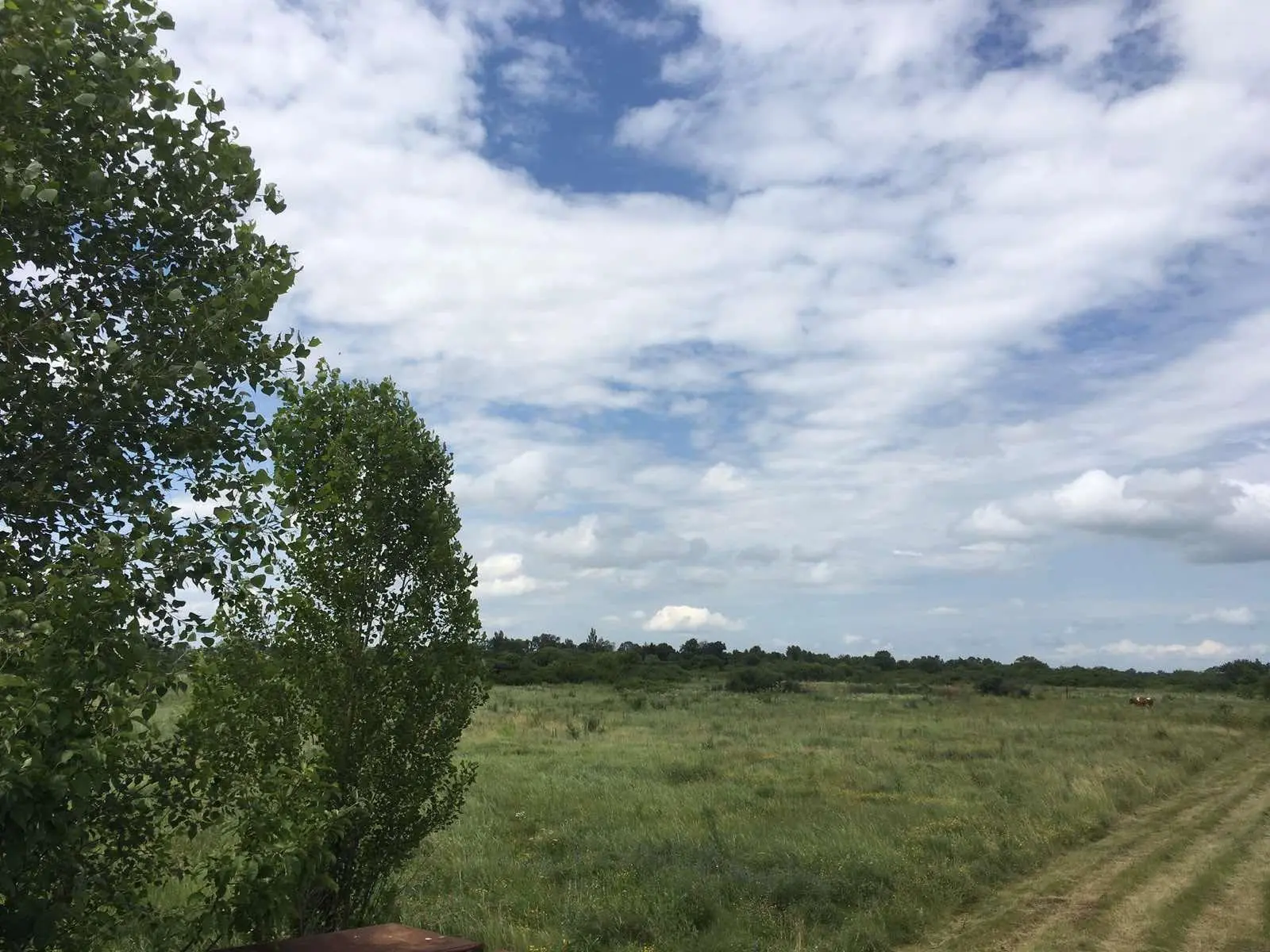 Участок под застройку 25 соток в Тахтаулово 