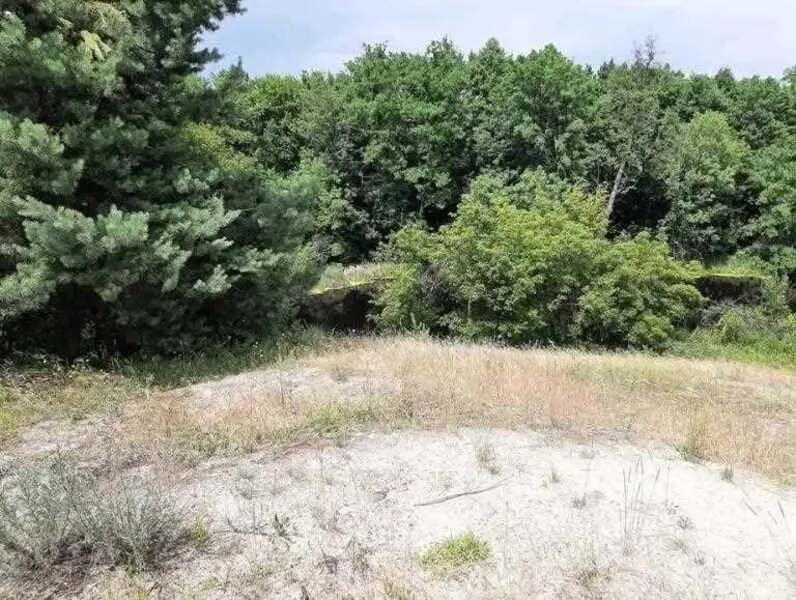 Ділянка в сосновому лісі біля водойоми!