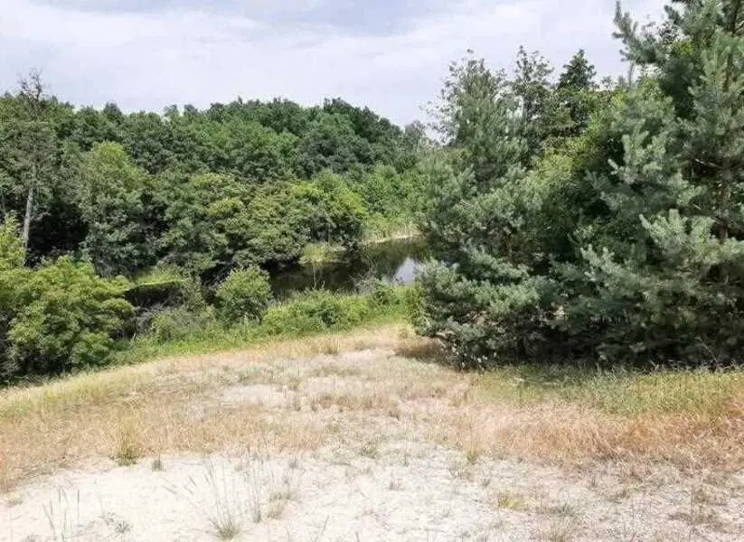 Ділянка в сосновому лісі біля водойоми!