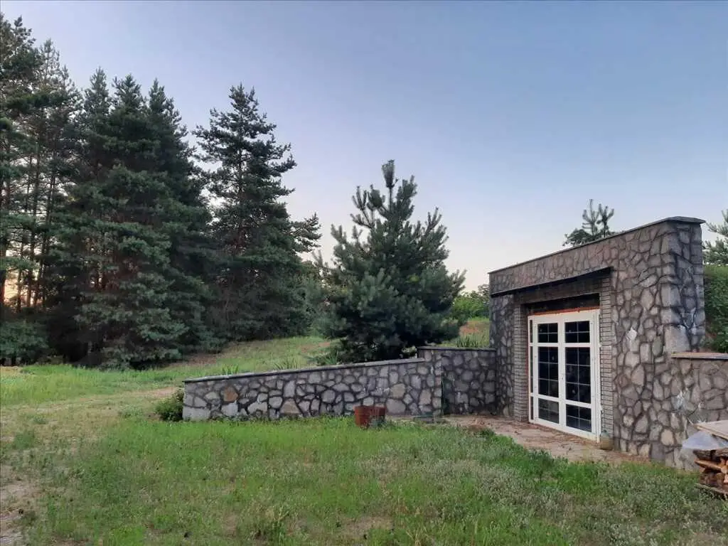 Дім у сосновому лісі