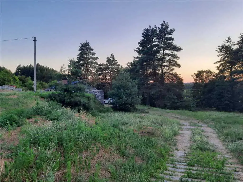 Дім у сосновому лісі