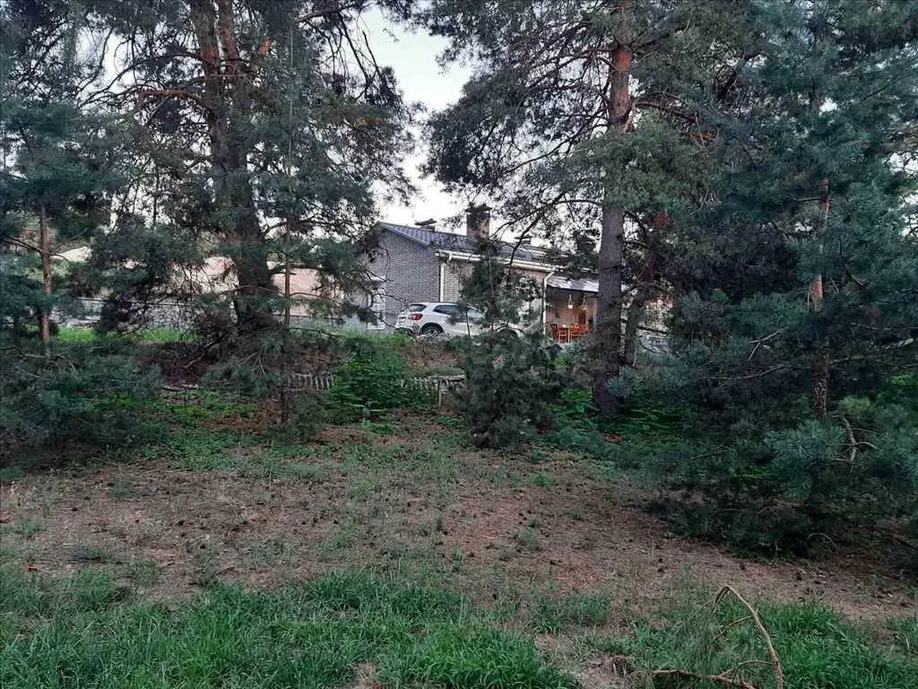 Дім у сосновому лісі