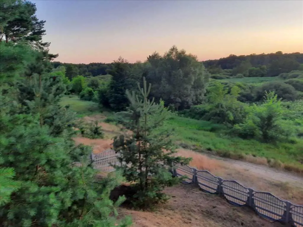 Дім у сосновому лісі