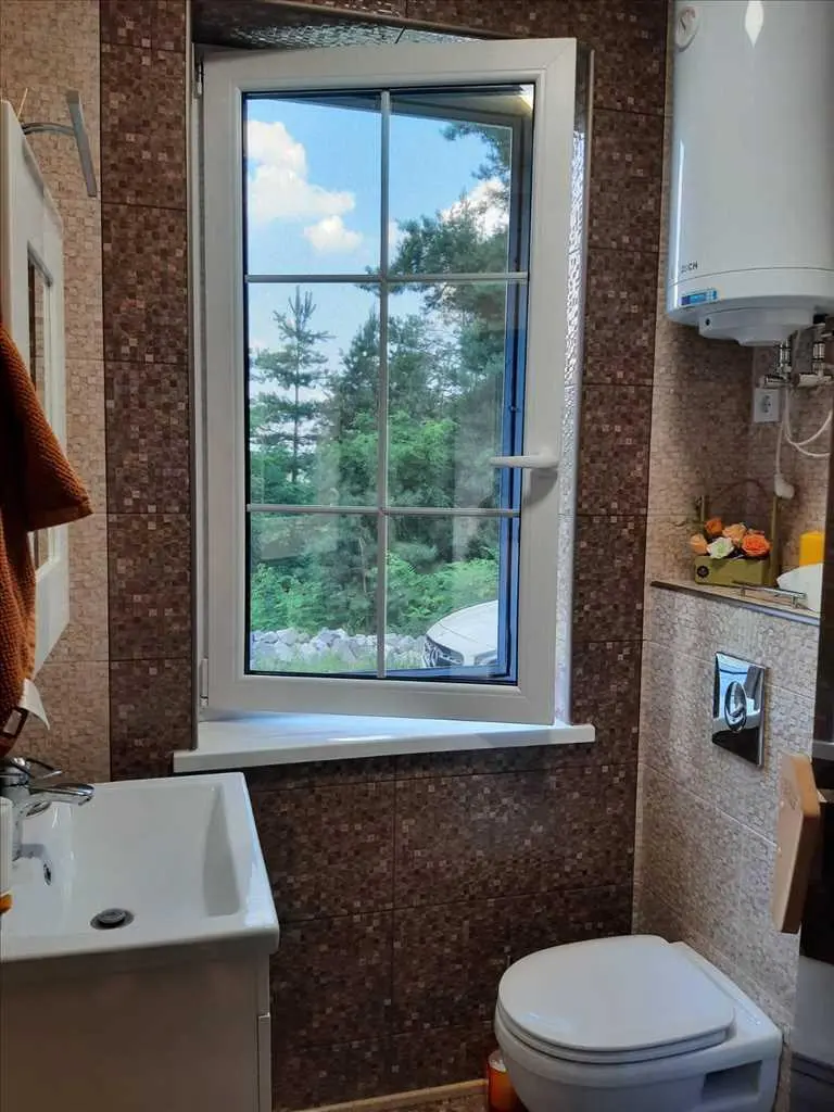 Дім у сосновому лісі