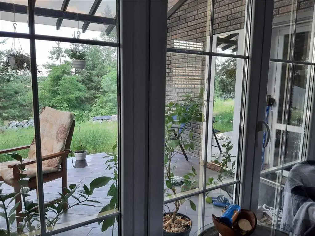 Дім у сосновому лісі