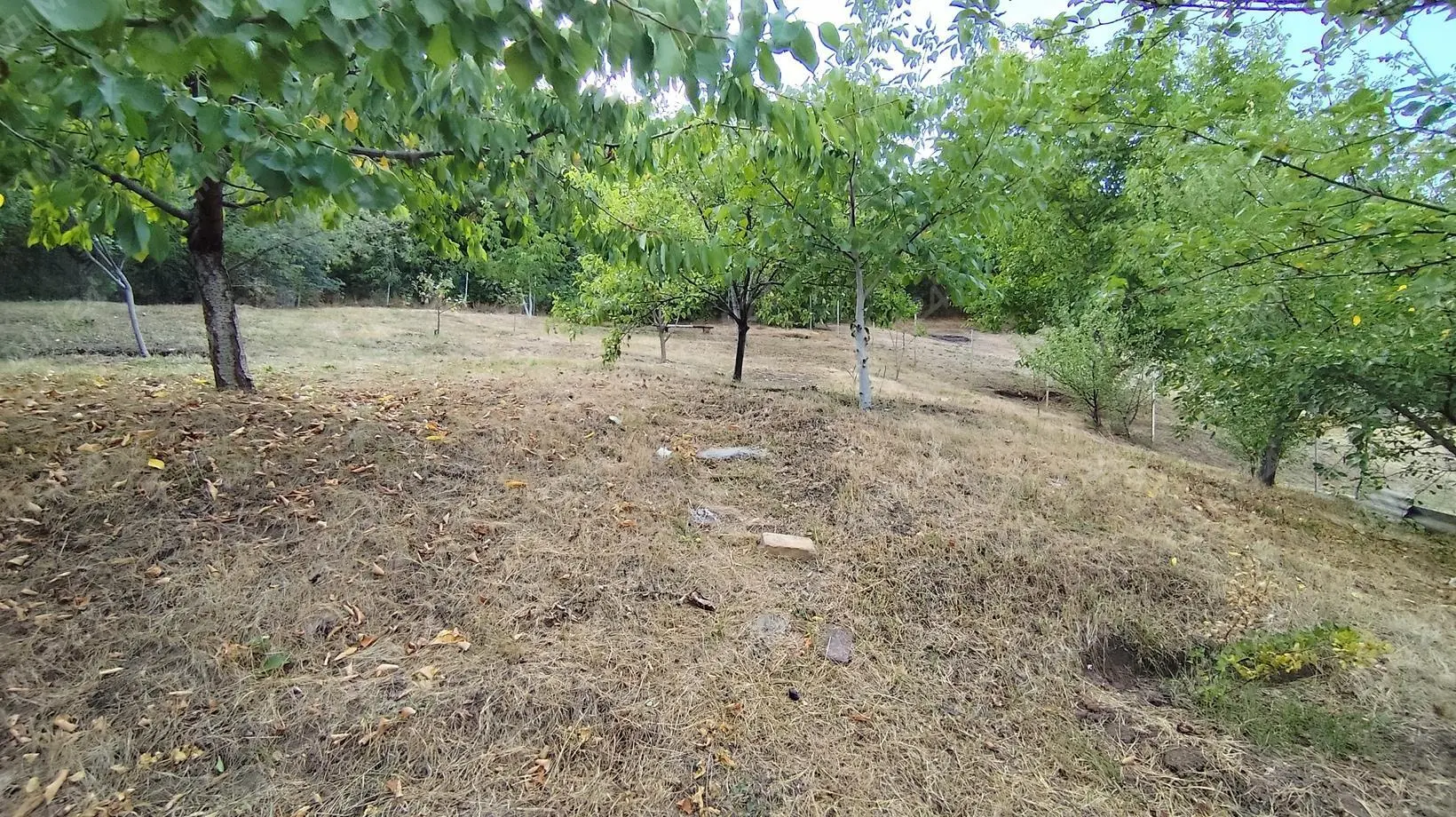 Окремий будинок на Вороніна