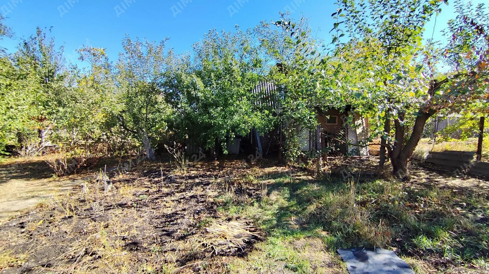 Дача на всі випадки життя! 