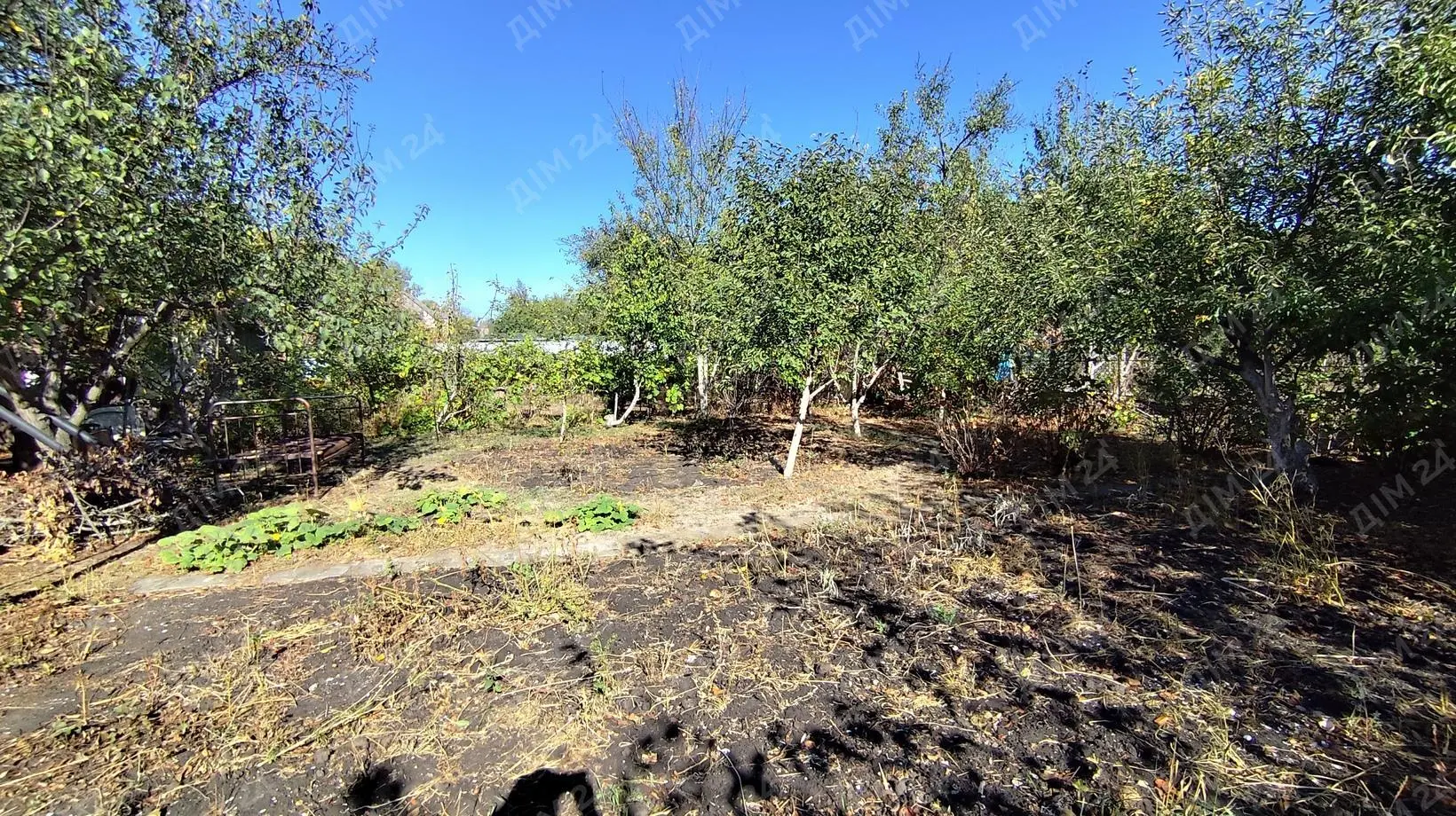 Дача на всі випадки життя! 