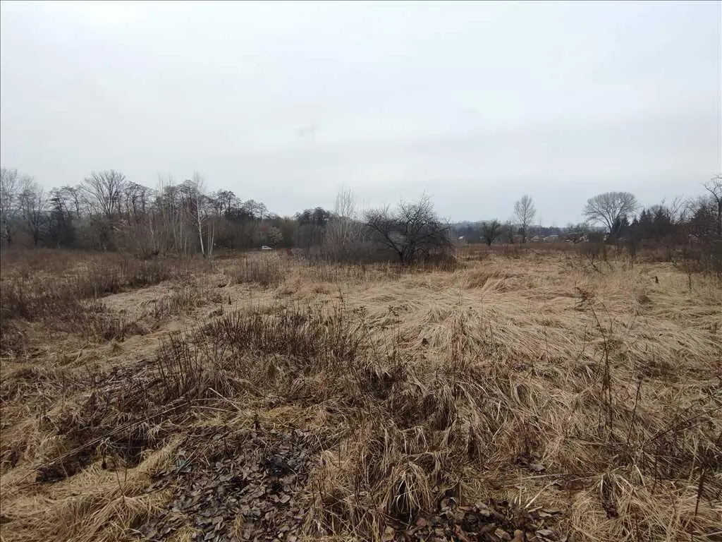 Ділянка для дачі вашої мрії.