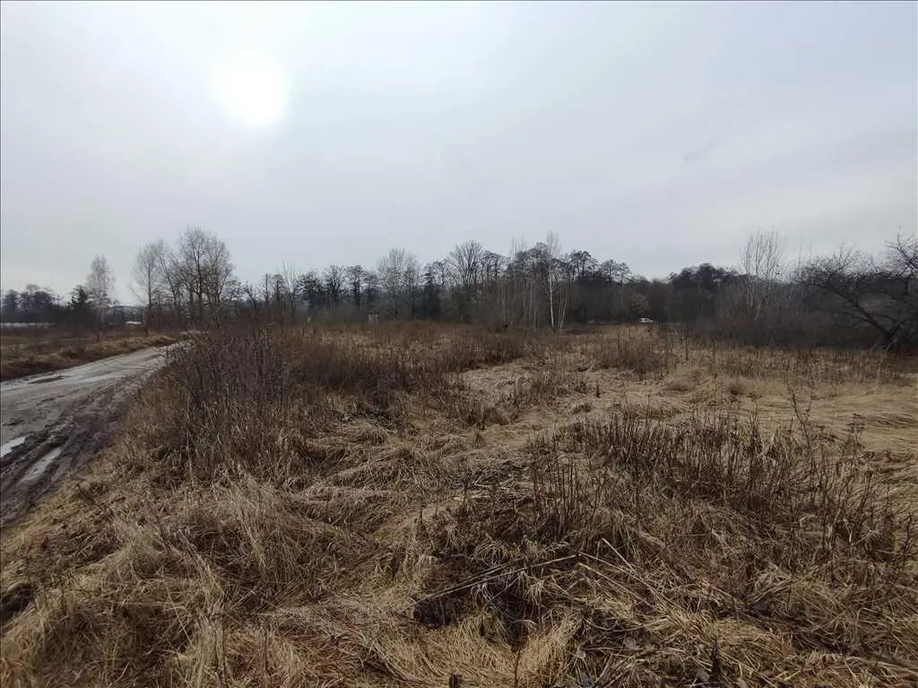 Ділянка для дачі вашої мрії.