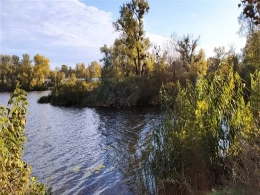 10 соток в Копилах